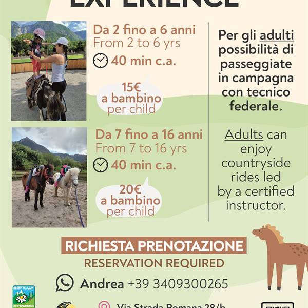 PONY & FARM